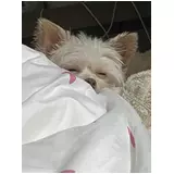 日記画像
