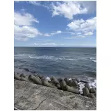 日記画像