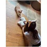 日記画像