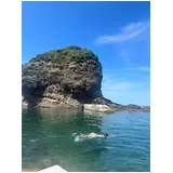 日記画像