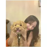 日記画像