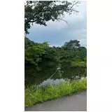 日記画像