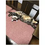 日記画像