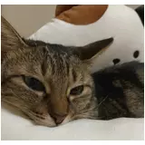 日記画像