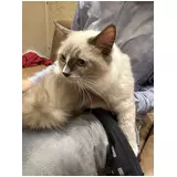 日記画像