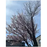 日記画像
