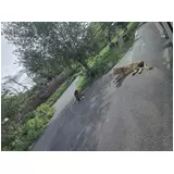 日記画像