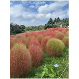日記画像