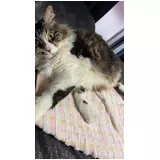 日記画像