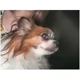 日記画像