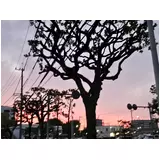 日記画像