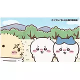 日記画像