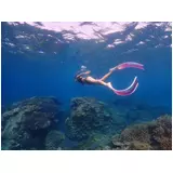日記画像