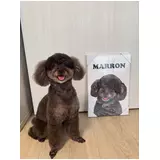 日記画像
