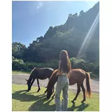 日記画像
