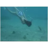 日記画像