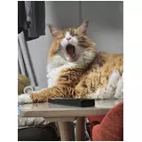 日記画像