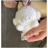 日記画像