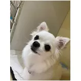 日記画像