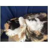 日記画像