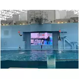 日記画像