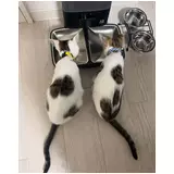 日記画像