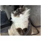 日記画像