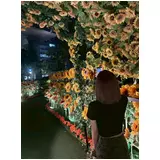 日記画像