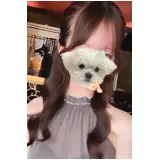 日記画像