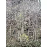 日記画像