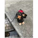 日記画像