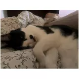 日記画像