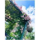 日記画像