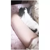 日記画像