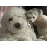 日記画像