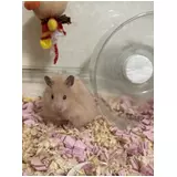 日記画像