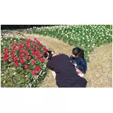 日記画像