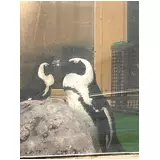 日記画像