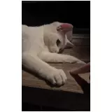 日記画像