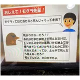日記画像