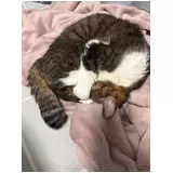 日記画像