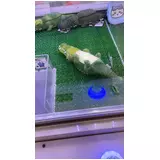 日記画像