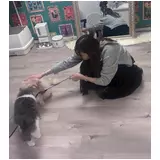 日記画像