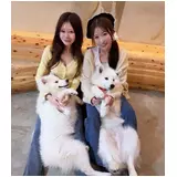 日記画像