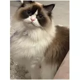 日記画像