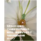 日記画像