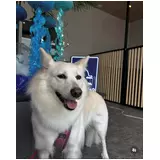 日記画像