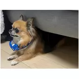 日記画像