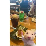 日記画像