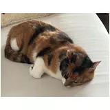 日記画像